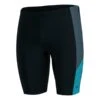 Speedo Dive Jammer Badehose Schwarz/blau 2 Speedo Dive Jammer Badehose Schwarz/blau -Schwimmsport Verkauf so 8 12826f902 001